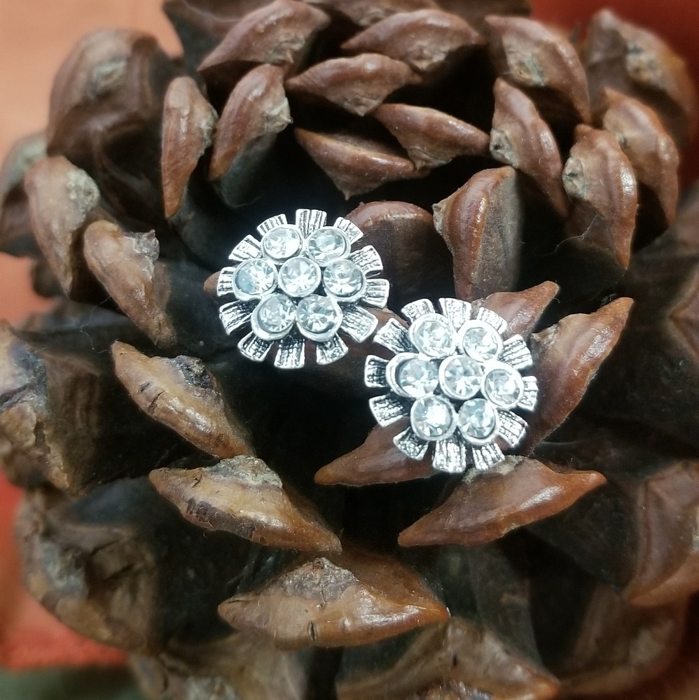 Gorgeous fashion earrings